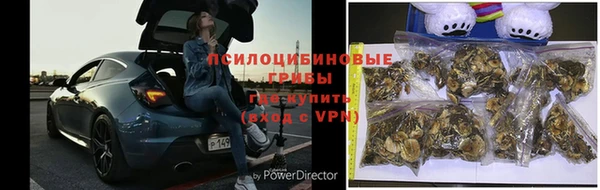 альфа пвп Медногорск