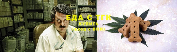 гидра Мегион