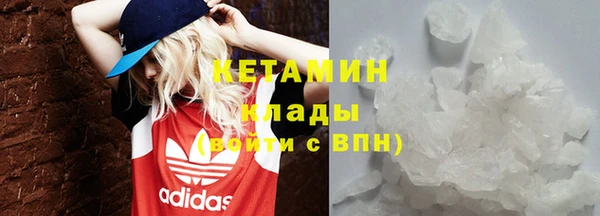 сатива Анжеро-Судженск