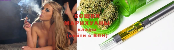 гидра Мегион
