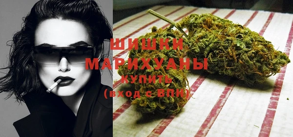 ГАЛЛЮЦИНОГЕННЫЕ ГРИБЫ Алагир