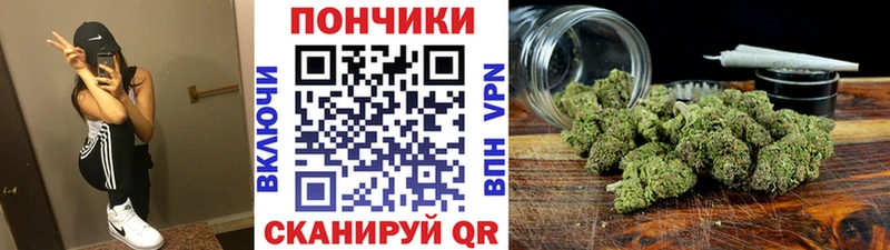 Каннабис конопля  Шиханы 